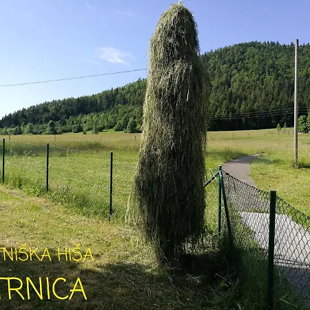 Pocitniska Hisa Ostrnica * Hrib-Loski Potok